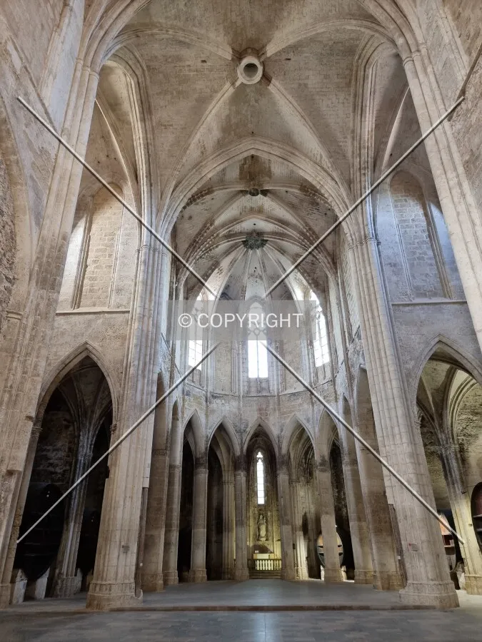 Photo 677-756-860