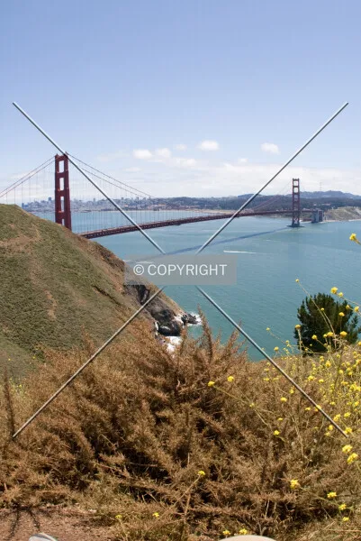 Photo 677-784-382