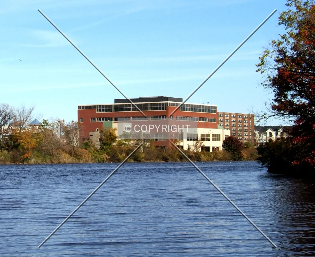 View from the southeast