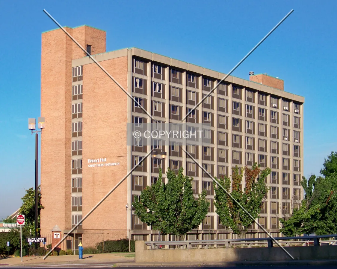 View from the northeast; July 3, 2009