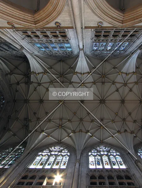 Photo 067-812-786