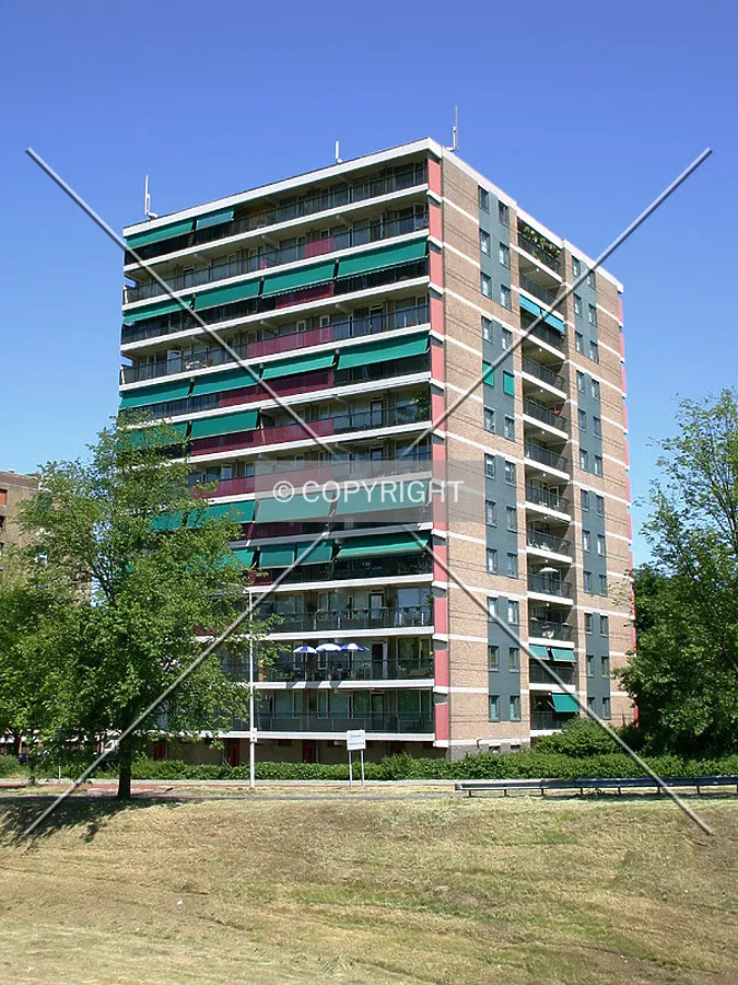 View from the southwest