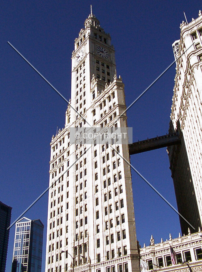 View from the east