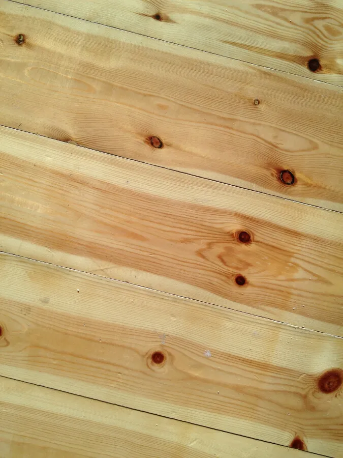 Photo 679-134-419