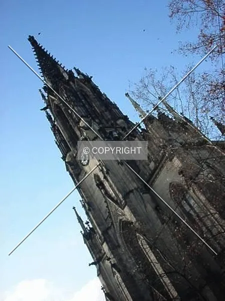 Elisabethenkirche