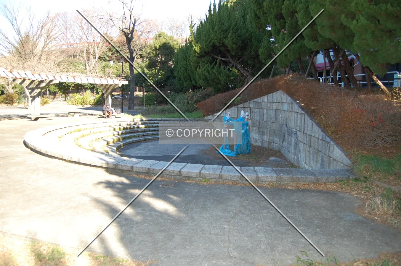 Photo 679-569-242