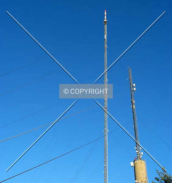 Photo 679-664-878