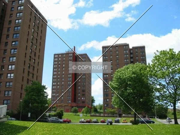 Overview from Deer Park Road