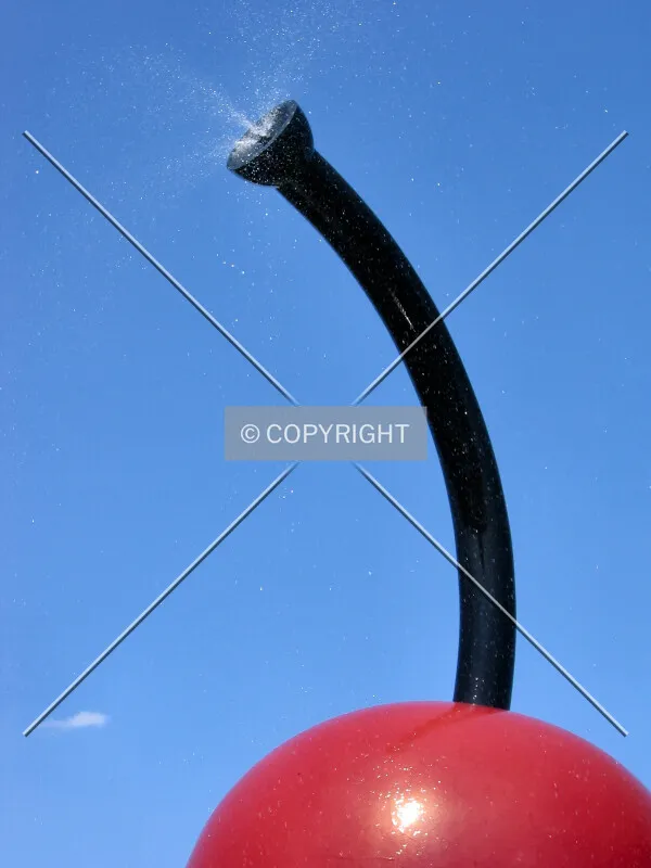 The stem and the spray