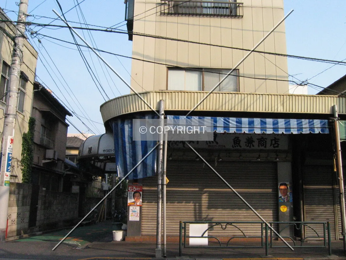 Photo 681-016-857
