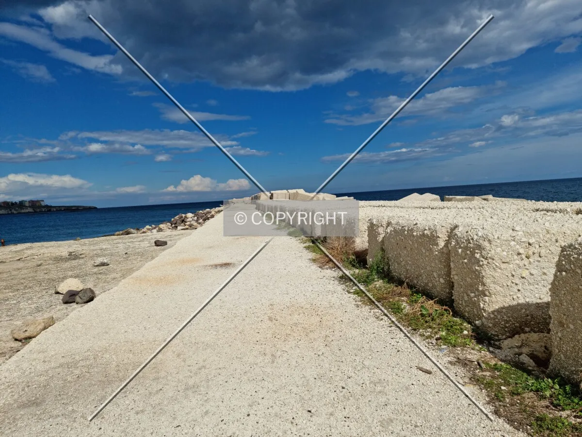Photo 681-763-724
