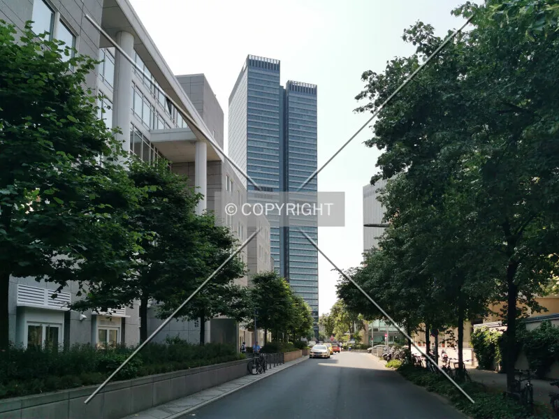 Photo 068-214-392