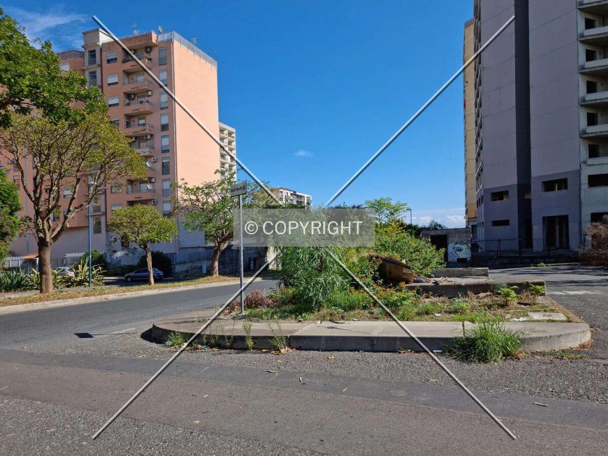 Photo 682-357-743