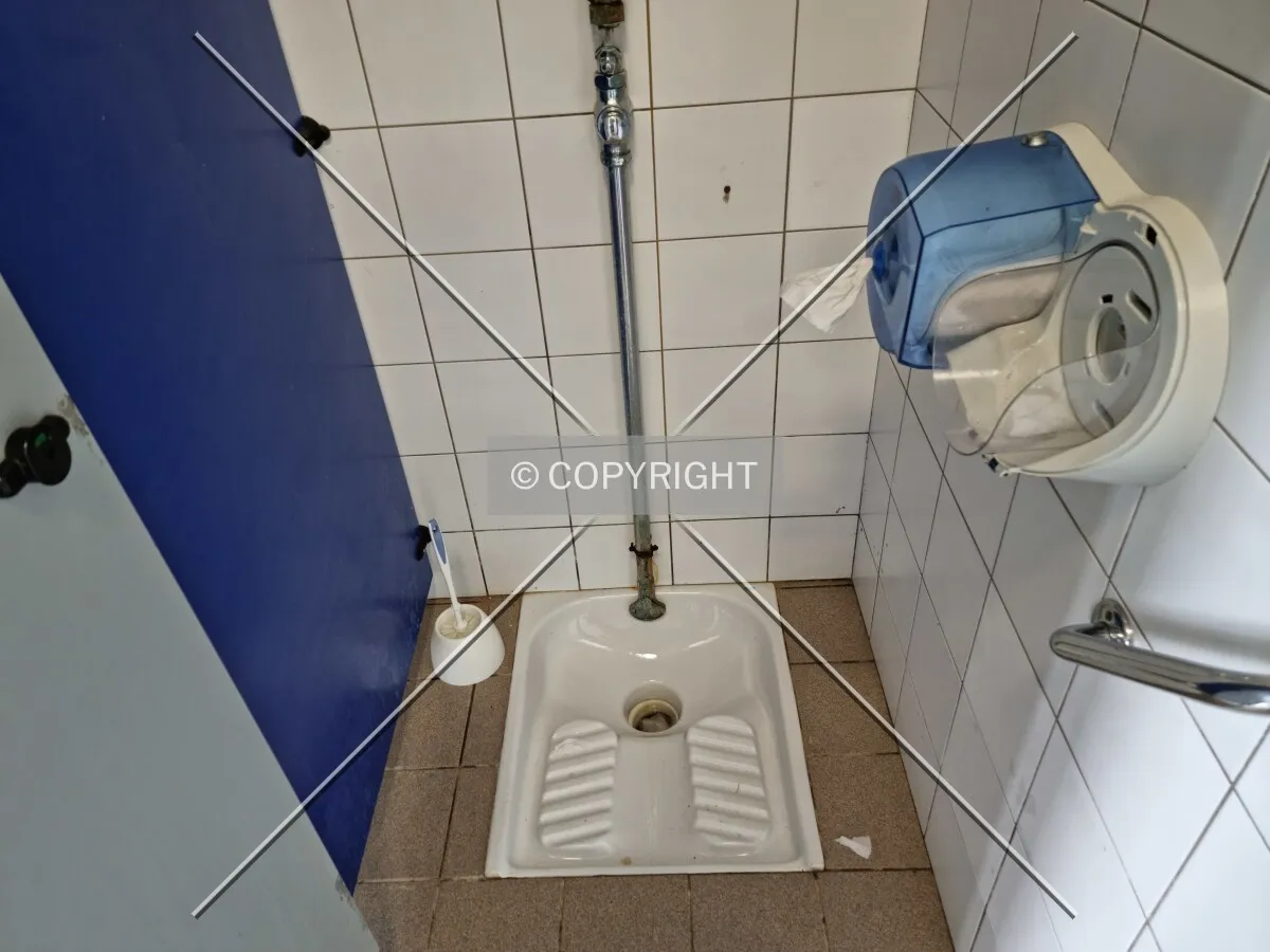 Photo 682-364-782