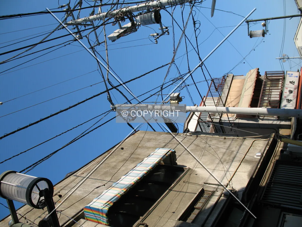 Photo 682-727-362