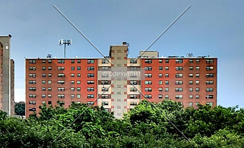 Distant view from the west; May 25, 2020
