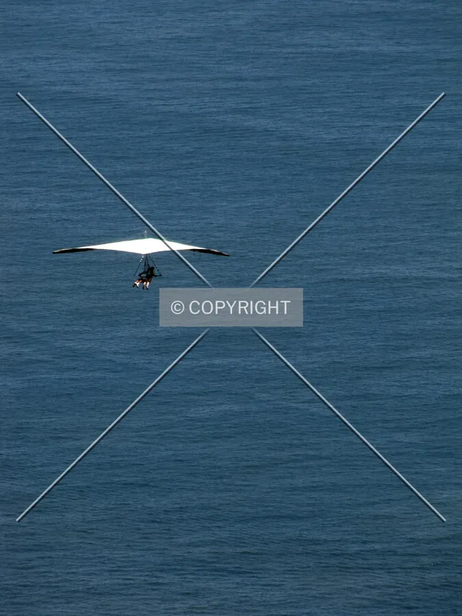 Hang-glider seen from Pedra Bonita