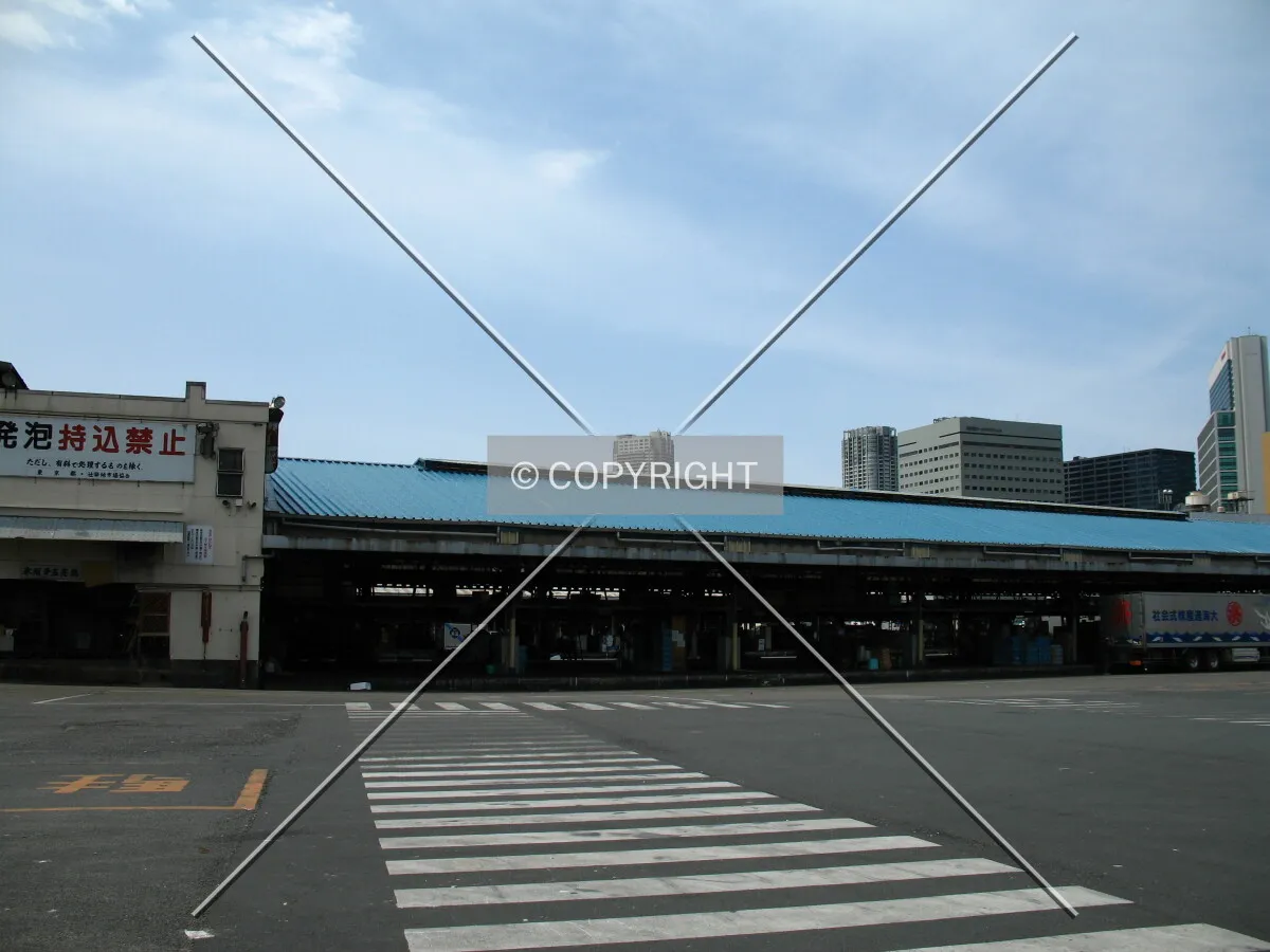 Photo 683-130-982