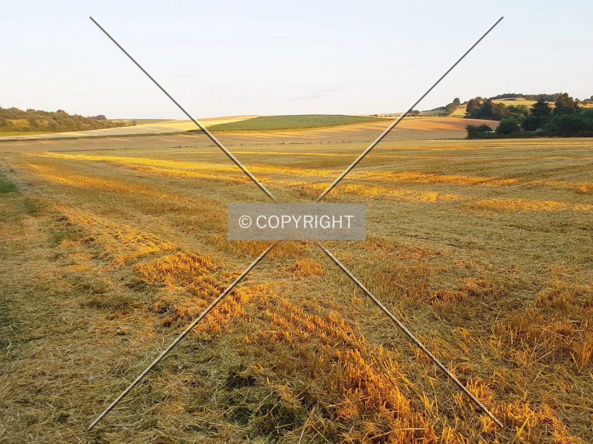 Straw