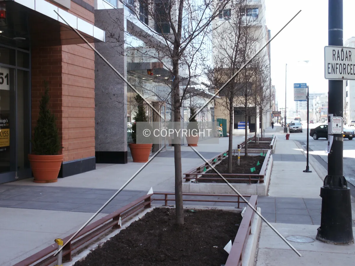 Landscaping on Michigan Avenue