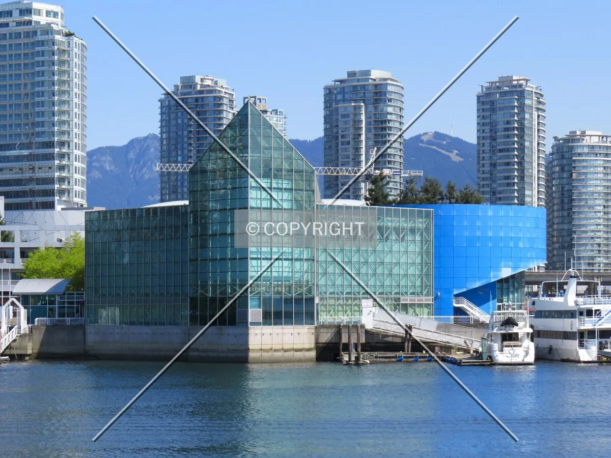View to the north across False Creek