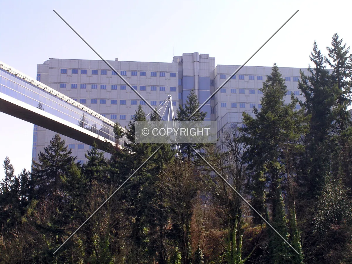 As seen from OHSU