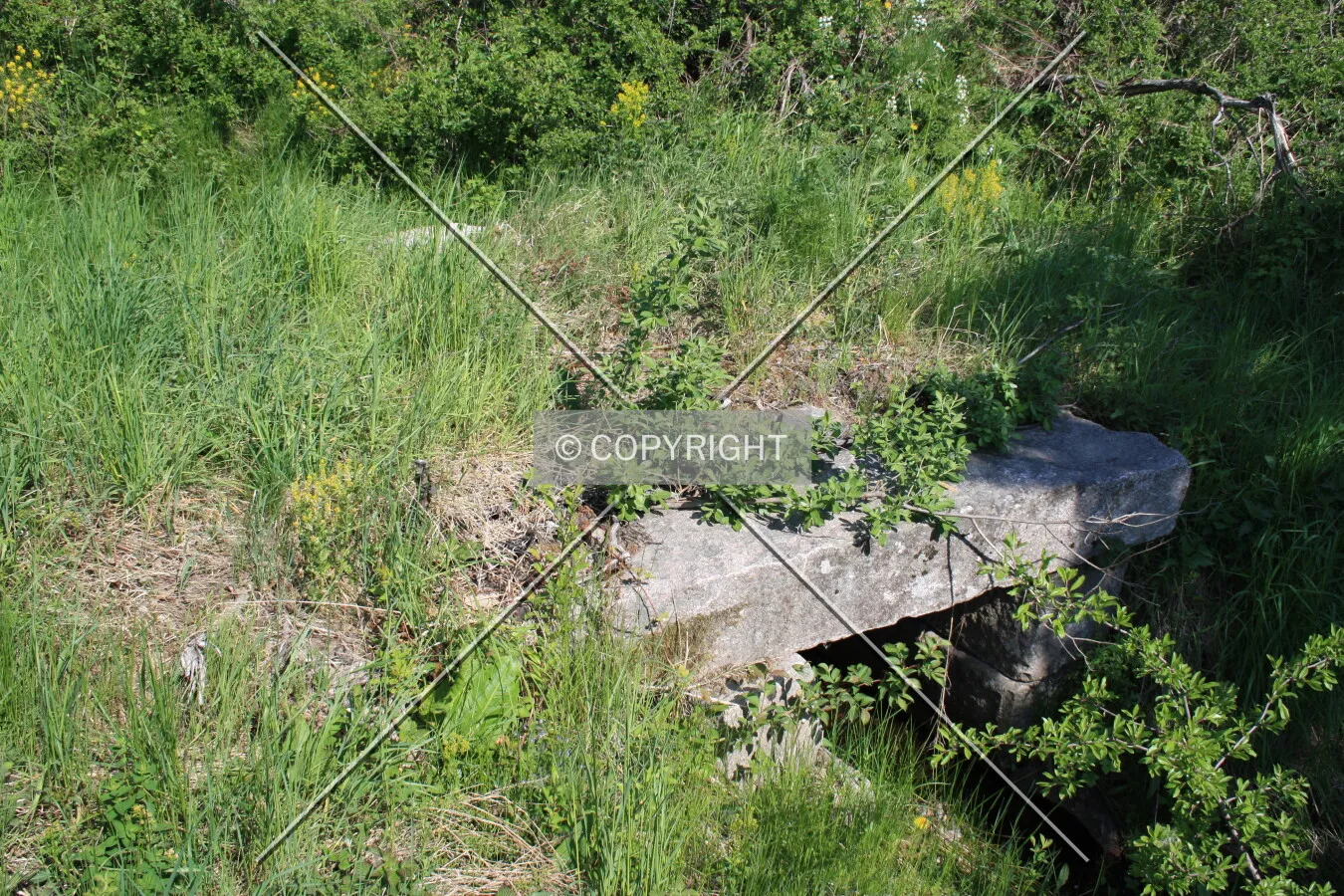 A pathway leading over a creek