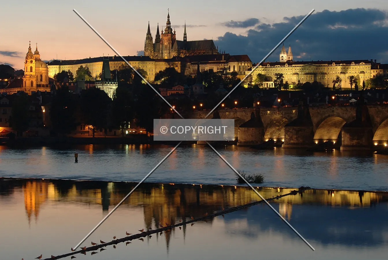 Night view across the river