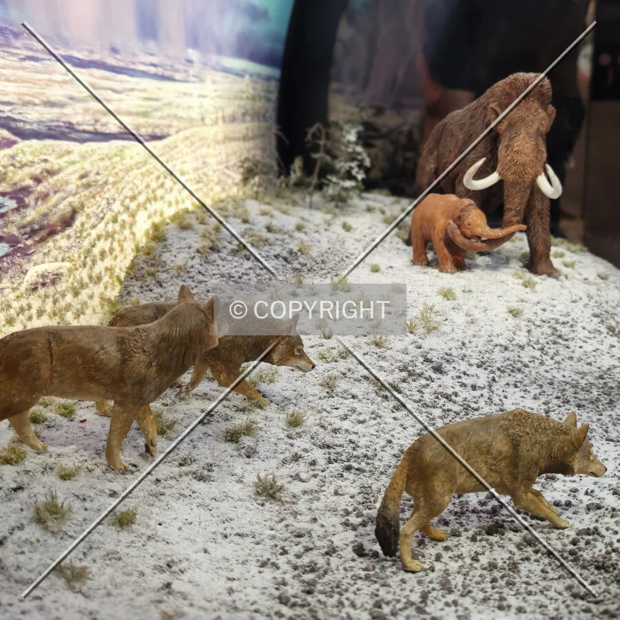 Detail of a display: April 14, 2025