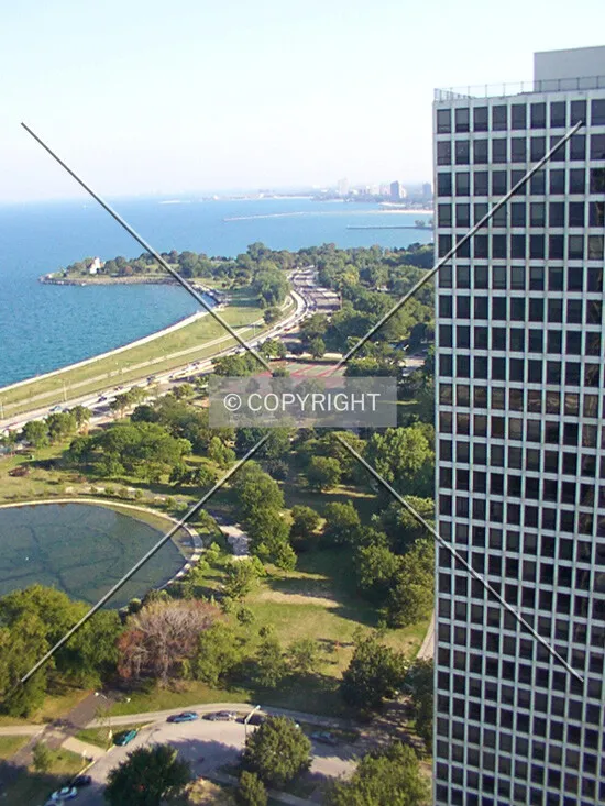 Elevated view from the tower