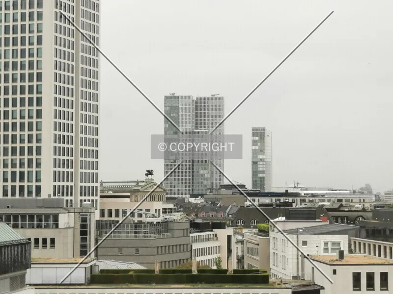 Photo 686-067-888