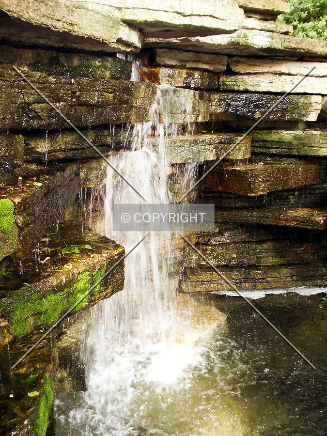 Photo 686-376-322