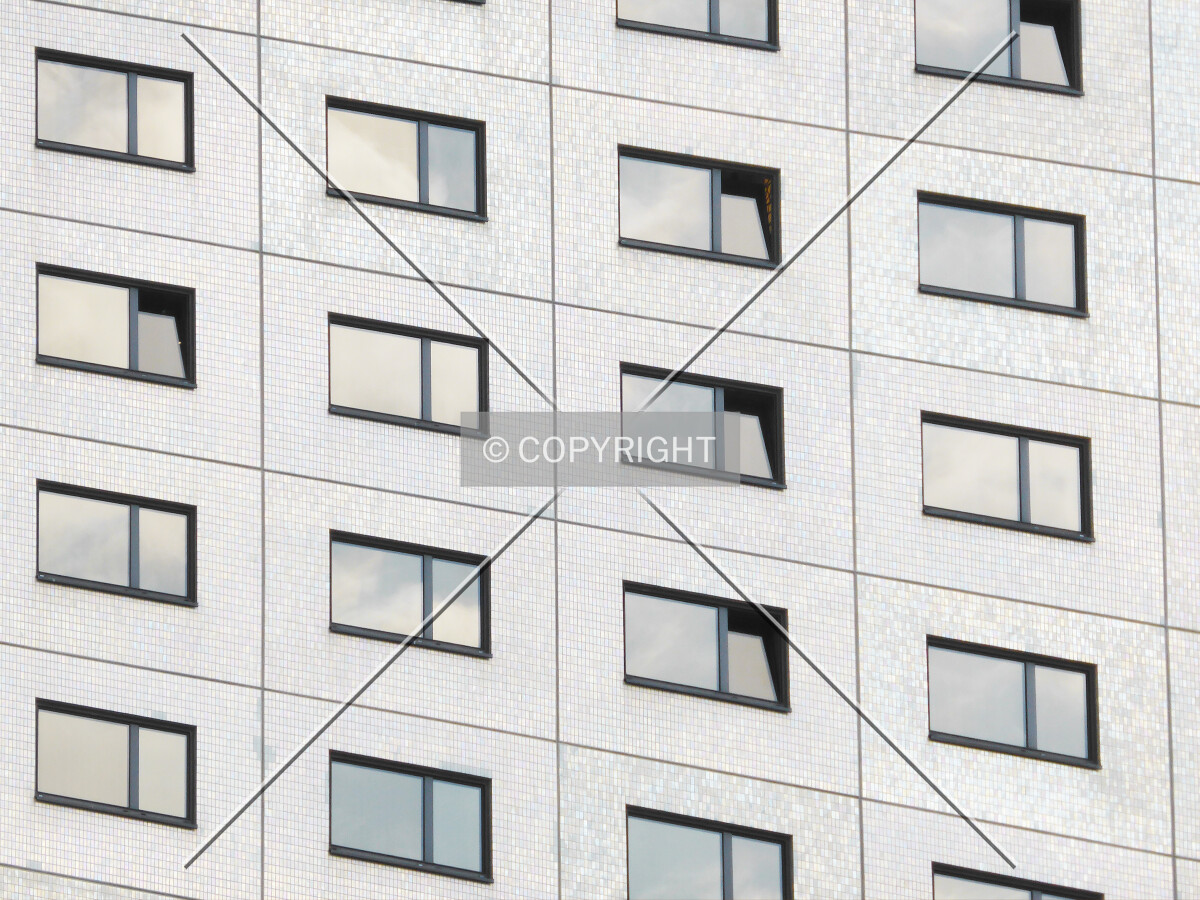 Photo 686-758-239