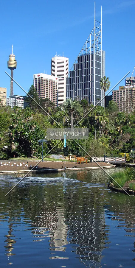 View from Royal Botanic Gardens
