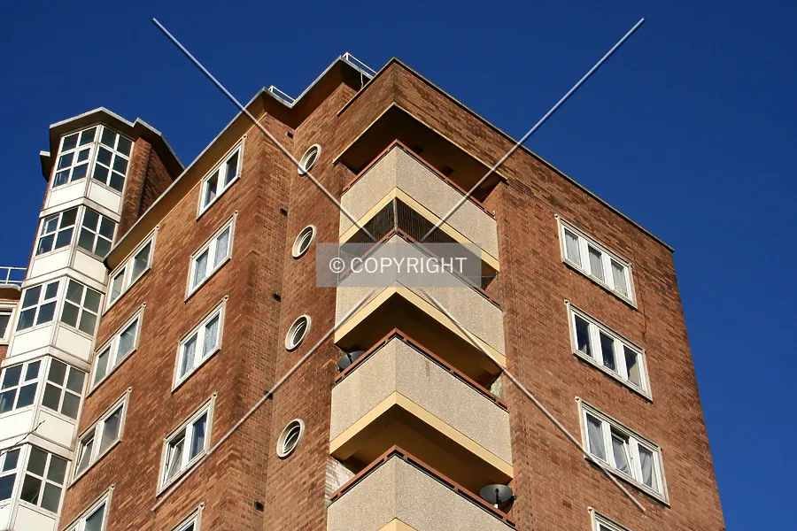 Photo 687-343-392