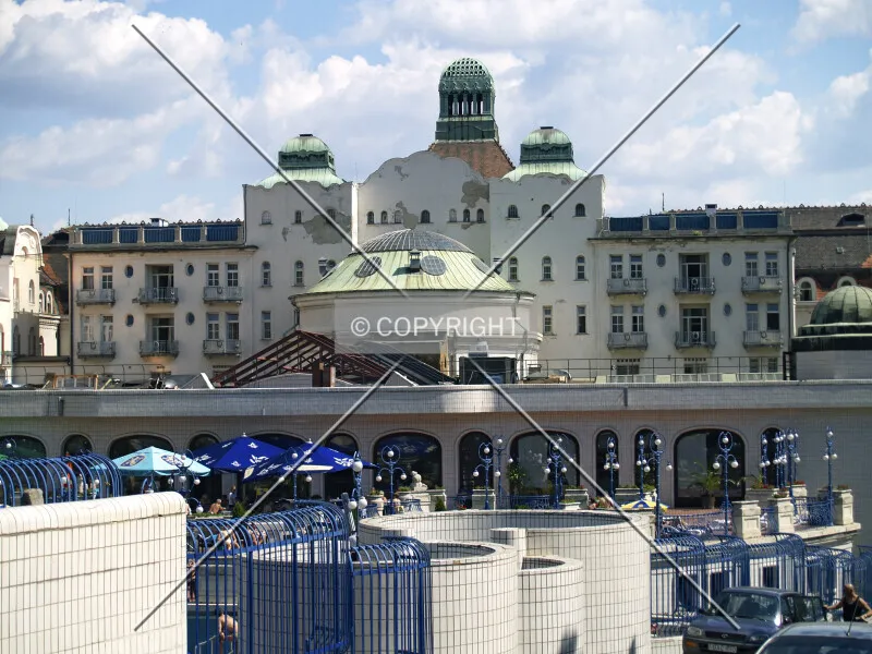 Photo 687-758-889