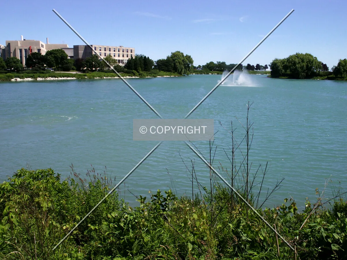 Looking north across the lagoon