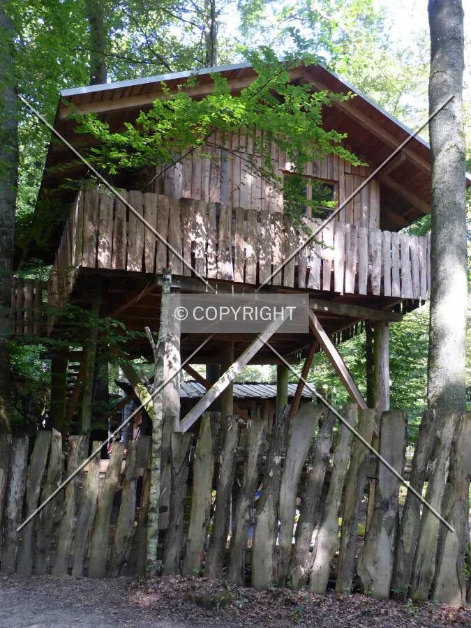 A stilt house in a forest