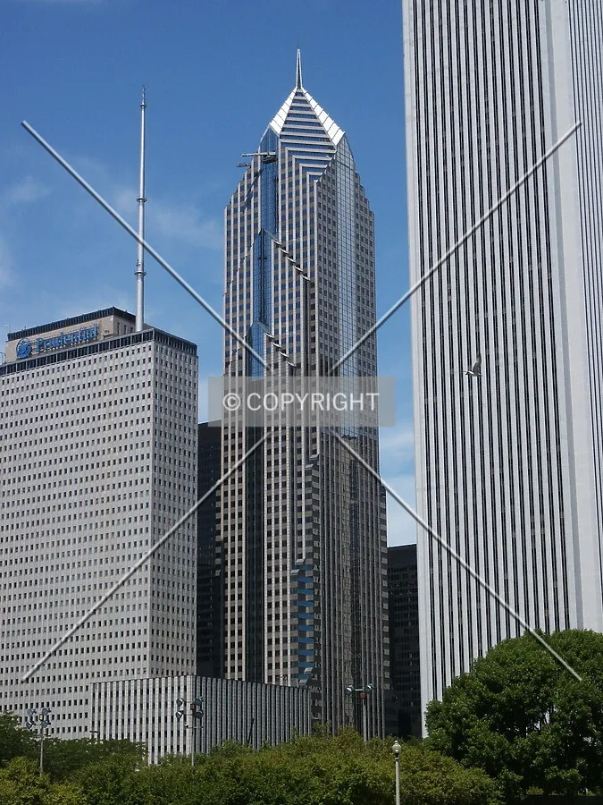 View from Grant Park
