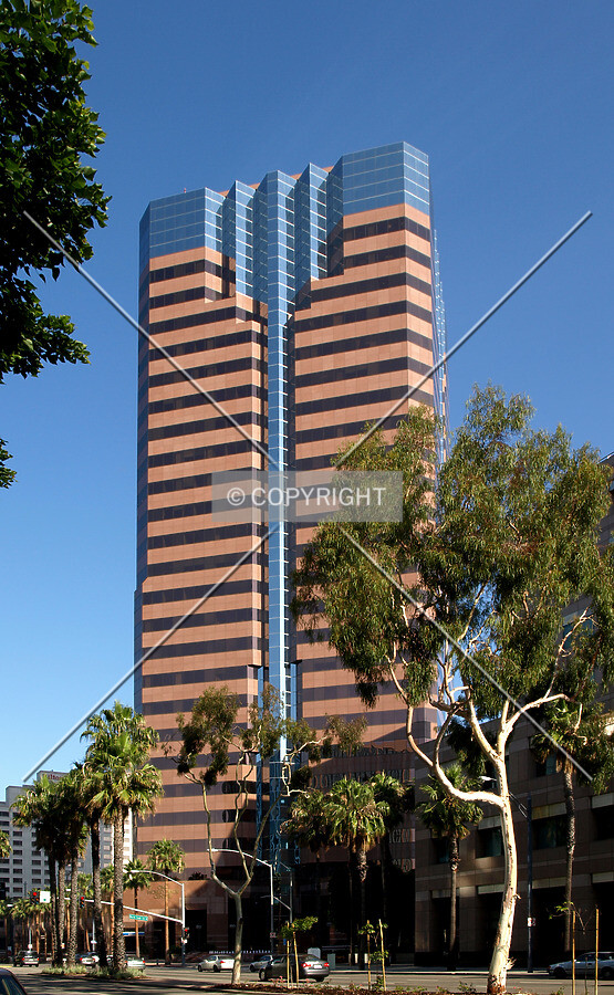 View from the east