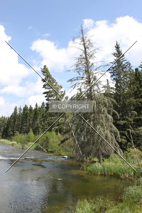 View of Waskesiu river