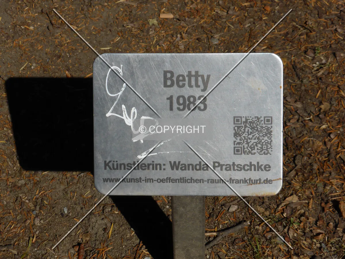 Photo 068-993-456