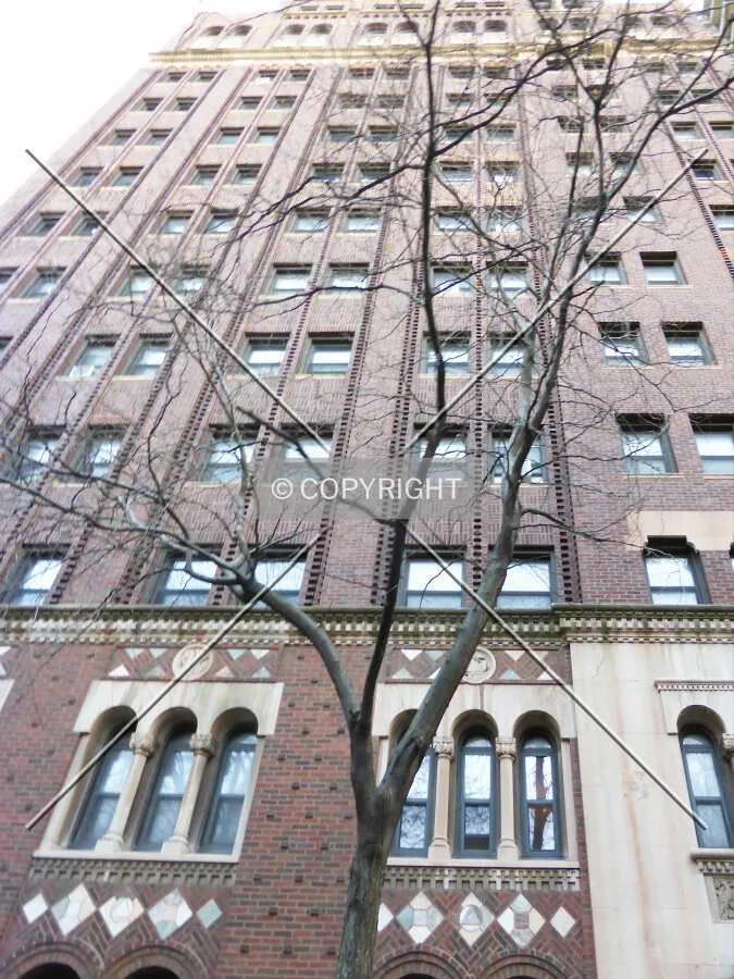 Photo 690-002-242