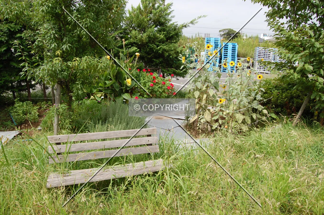 Photo 690-066-426