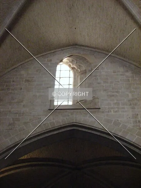Photo 690-126-603