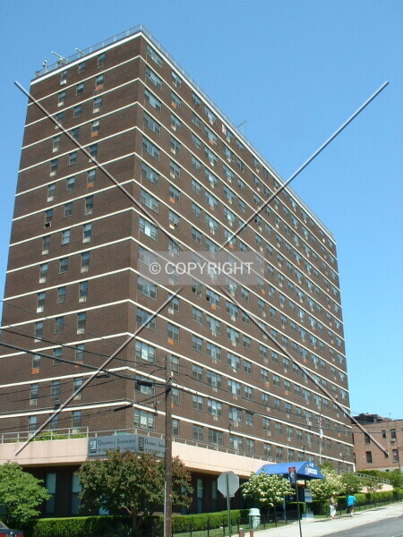 Photo 690-249-346