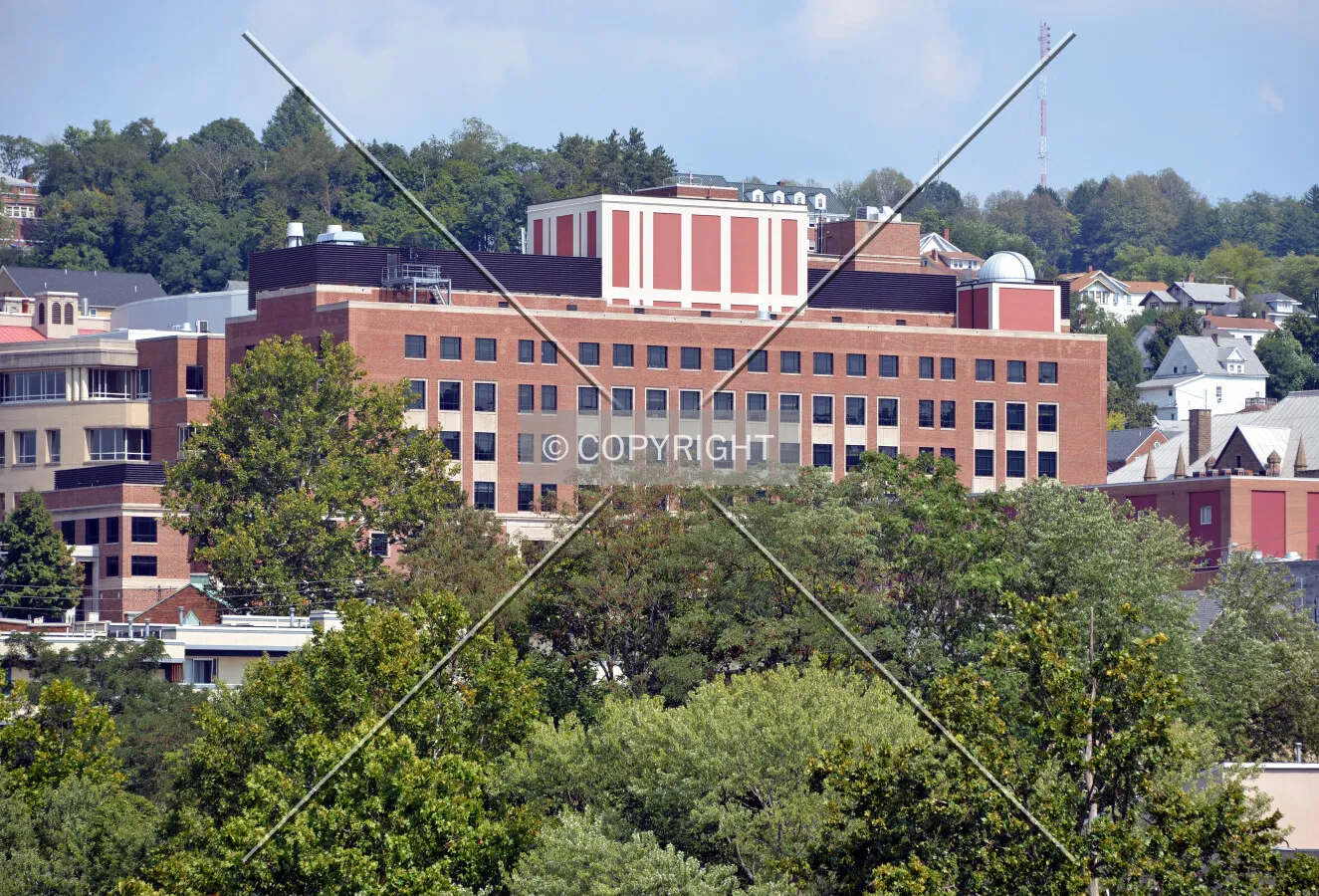 View from the southwest