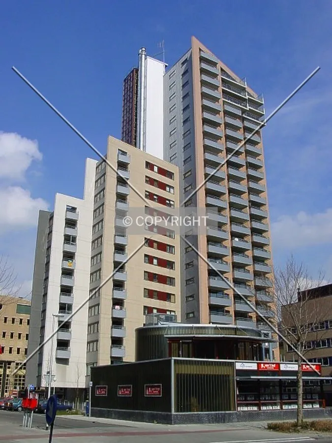 View from Duitslandlaan