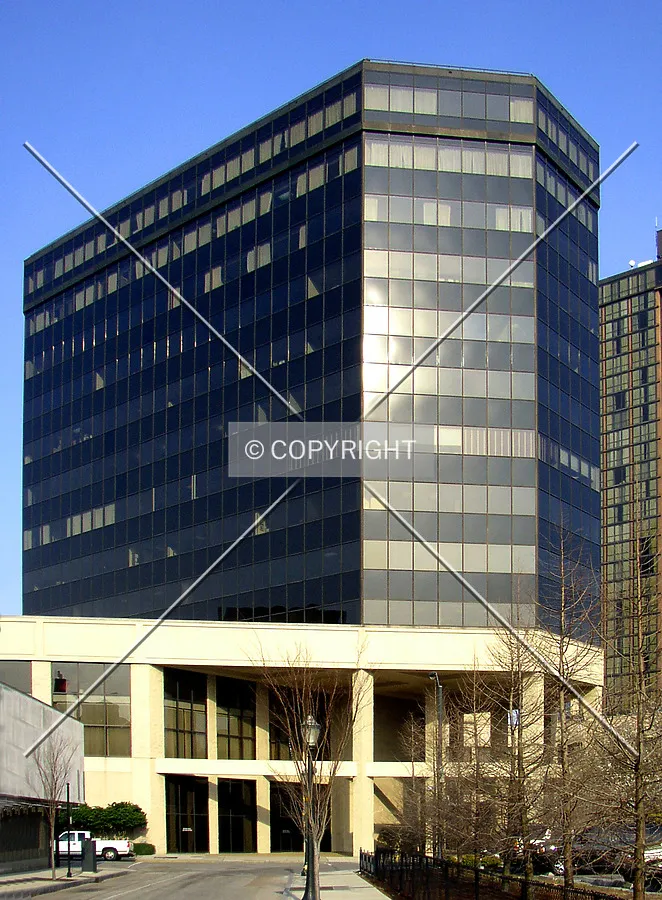 Looking east from Conti Street