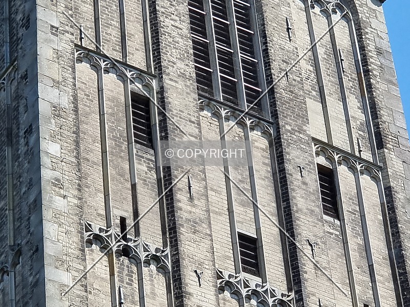 Photo 690-956-913